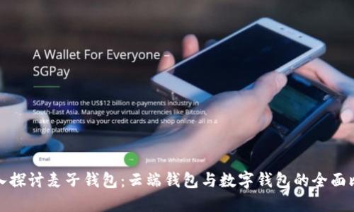 深入探讨麦子钱包：云端钱包与数字钱包的全面比较