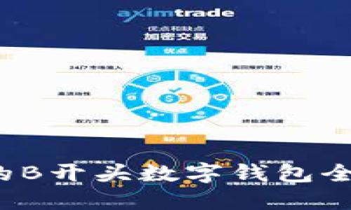 2023年最受欢迎的B开头数字钱包全面评测与使用指南