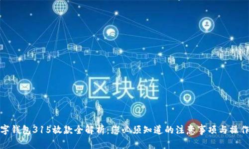 : 数字钱包315放款全解析：您必须知道的注意事项与操作指南