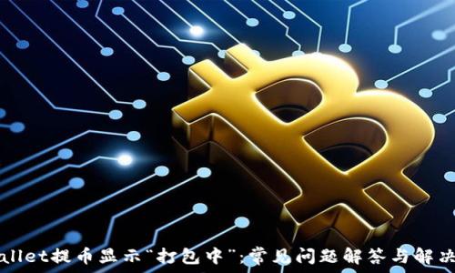   
TPWallet提币显示“打包中”：常见问题解答与解决方案