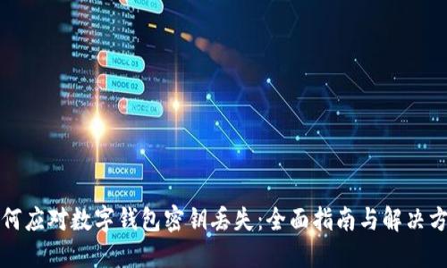 如何应对数字钱包密钥丢失：全面指南与解决方案