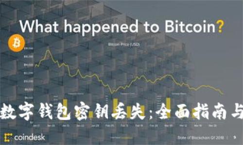 如何应对数字钱包密钥丢失：全面指南与解决方案