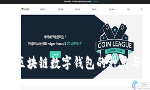 全面解析：区块链数字钱包的种类与选择指南