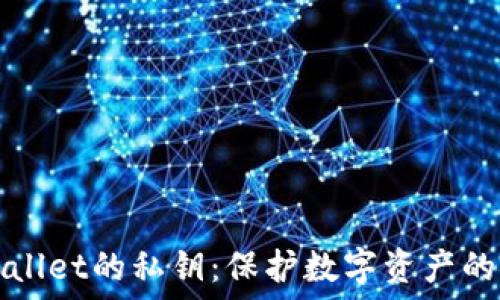   
探秘TPWallet的私钥：保护数字资产的安全基石