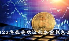 深入探索：2023年最受欢迎