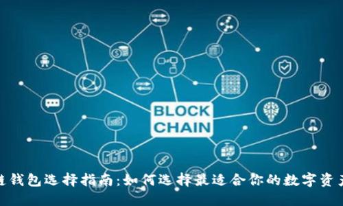 : 区块链钱包选择指南：如何选择最适合你的数字资产管理卡