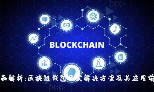 全面解析：区块链钱包开发解决方案及其应用前景