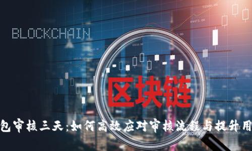 数字钱包审核三天：如何高效应对审核流程与提升用户体验