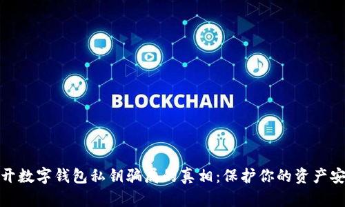 揭开数字钱包私钥骗局的真相：保护你的资产安全