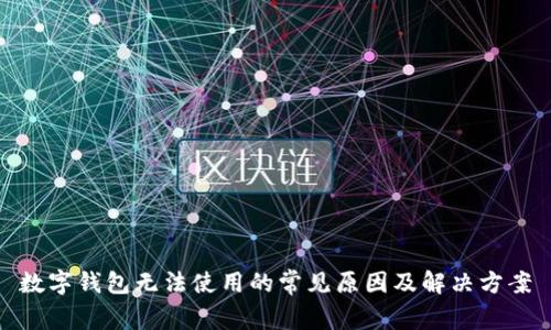 数字钱包无法使用的常见原因及解决方案