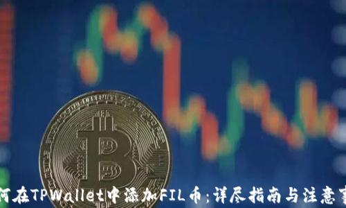 
如何在TPWallet中添加FIL币：详尽指南与注意事项