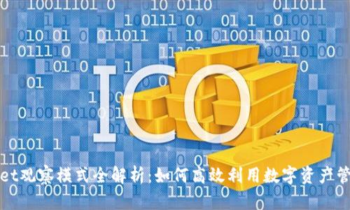 TPWallet观察模式全解析：如何高效利用数字资产管理工具