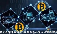 揭开数字中国骗局：虹膜