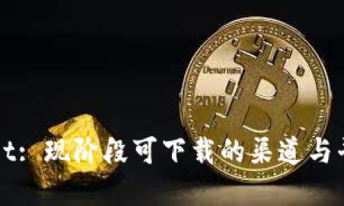 TPWallet: 现阶段可下载的渠道与平台详解