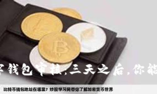 : 揭秘数字钱包审核：三天之后，你能期待什么？