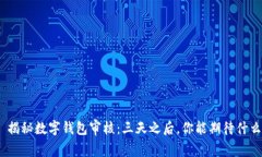 : 揭秘数字钱包审核：三天