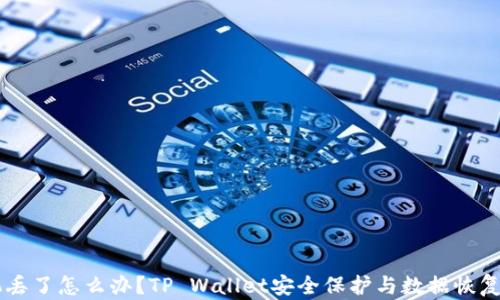 
手机丢了怎么办？TP Wallet安全保护与数据恢复指南