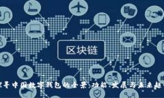 探寻中国数字钱包的全景