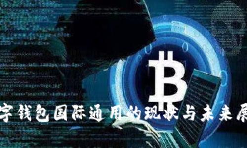 数字钱包国际通用的现状与未来展望