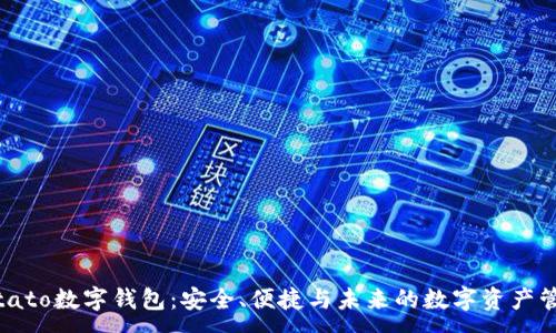 :
探索Potato数字钱包：安全、便捷与未来的数字资产管理之道