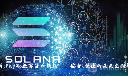 全面解析：PayGo数字货币钱包——安全、便捷的未来支付解决方案