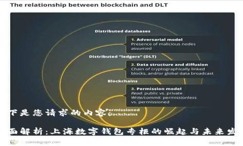以下是您请求的内容：

全面解析：上海数字钱包专柜的崛起与未来发展