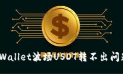 schema全面解析：TPWallet波场USDT转不出问题及解决