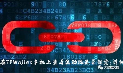 如何在TPWallet手机上查看流动池是否锁定：详细指南