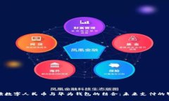 全面解读数字人民币与华