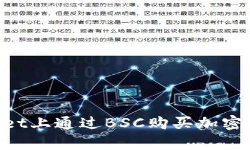 如何在TPWallet上通过BSC购买加密货币：详细指南