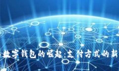 巴西数字钱包的崛起：支