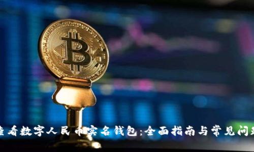 如何查看数字人民币实名钱包：全面指南与常见问题解答