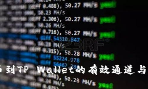 币安提币到TP Wallet的有效通道与操作指南