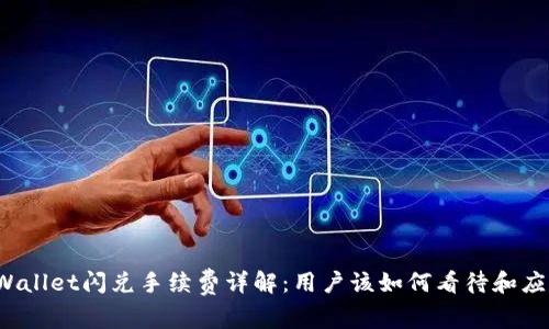 TPWallet闪兑手续费详解：用户该如何看待和应对？