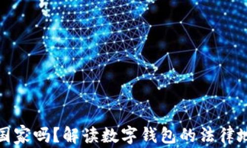 
数字钱包属于国家吗？解读数字钱包的法律地位与应用前景