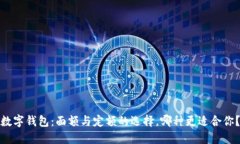 数字钱包：面额与定额的