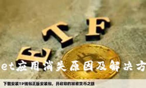 TPWallet应用消失原因及解决方案详解