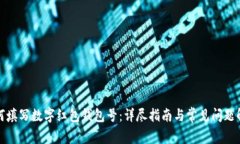 如何填写数字红包钱包号：详尽指南与常见问题