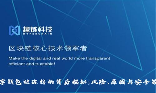数字钱包被冻结的背后揭秘：风险、原因与安全策略