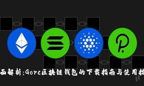 全面解析：Gorc区块链钱包的下载指南与使用技巧