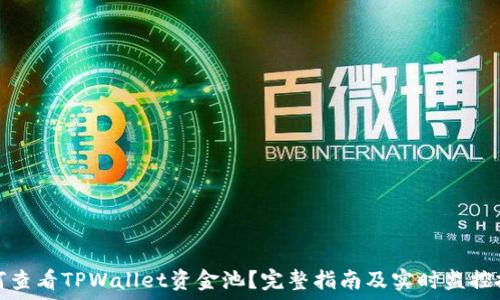  
如何查看TPWallet资金池？完整指南及实时监控技巧