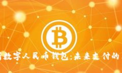 : 全面解析数字人民币钱包