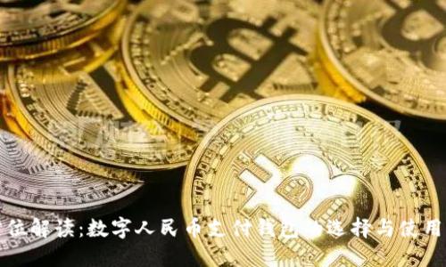 全方位解读：数字人民币支付钱包的选择与使用指南