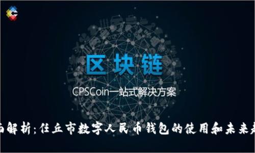 全面解析：任丘市数字人民币钱包的使用和未来趋势
