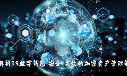 全方位解析B9数字钱包：安全、高效的加密资产管理解决方案