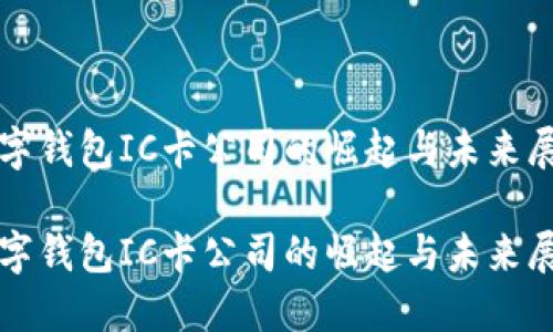 数字钱包IC卡公司的崛起与未来展望

数字钱包IC卡公司的崛起与未来展望