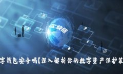 数字钱包安全吗？深入解