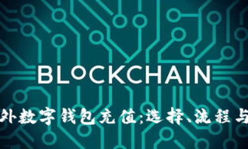 全面解读海外数字钱包充值：选择、流程与安全性详谈