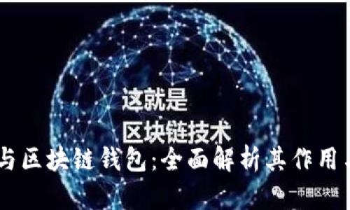 USDT与区块链钱包：全面解析其作用与用途