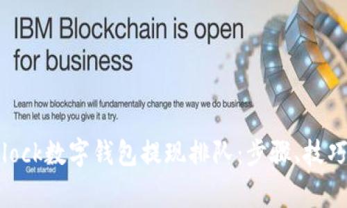 如何高效管理sblock数字钱包提现排队：步骤、技巧与常见问题解析